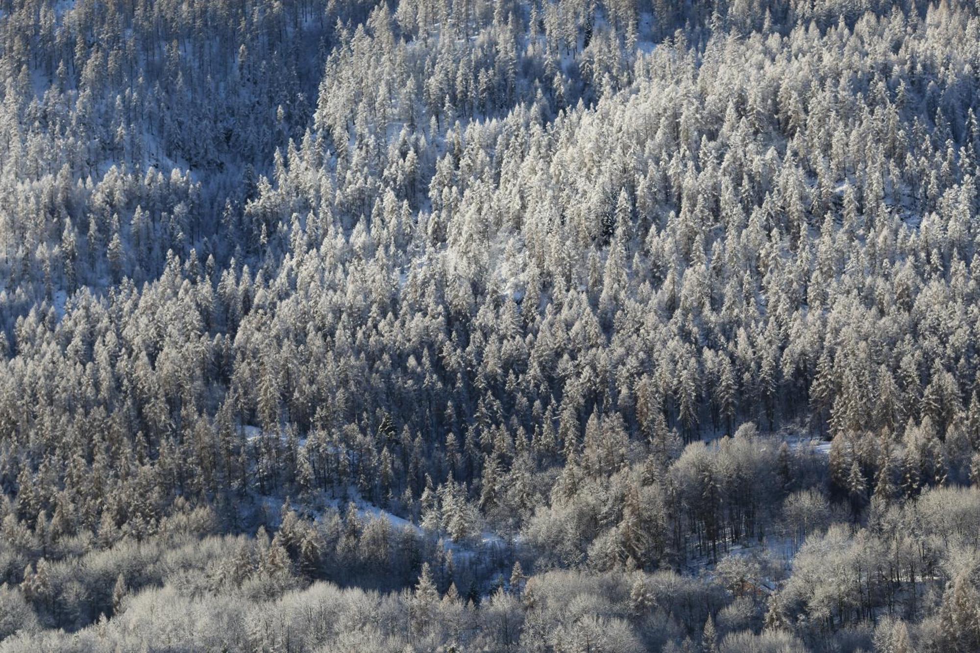 Maison De Montagne Serre Chevalier Saint-Chaffrey Exteriér fotografie